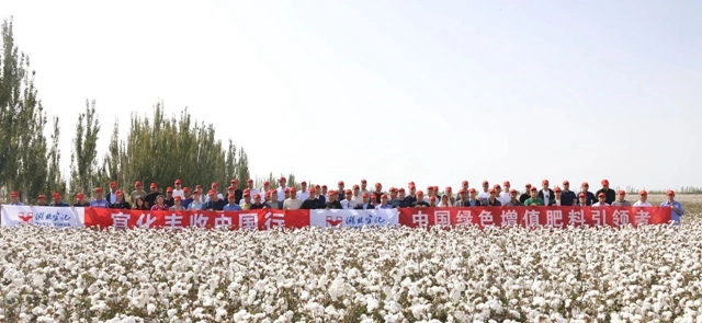 宜化豐收中國(guó)行！新疆棉花大型測(cè)產(chǎn)觀摩會(huì)成功舉行