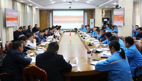 王大真調(diào)研指導股份公司、化機公司和TMP新項目2020年財務(wù)預(yù)算工作
